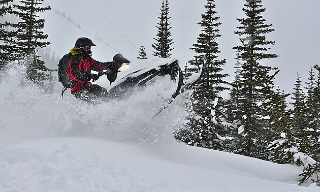 fellow snowmobiling through the BC wilderness