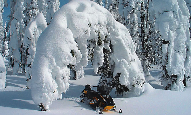 Lumberton is one of the main sledding areas around Cranbrook. photo courtesy Doug Williamson