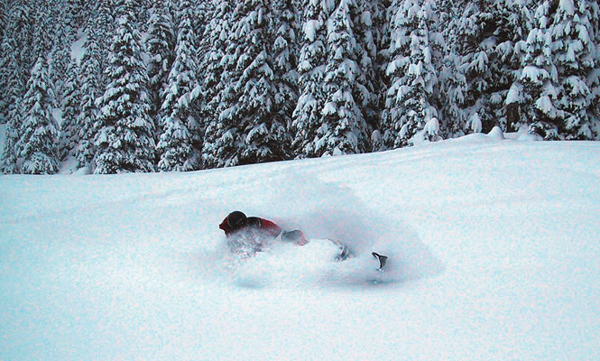 David d'Andrea gets a taste of Elkford's pristine powder. Peter Cunningham photo
