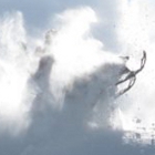 Man on a snowmobile in powder
