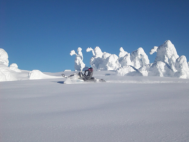 Photo of someone on a snowmobile