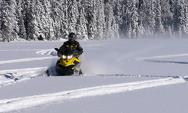 The Parkland region offers splendid trails. Photo courtesy the North Mountain Riders