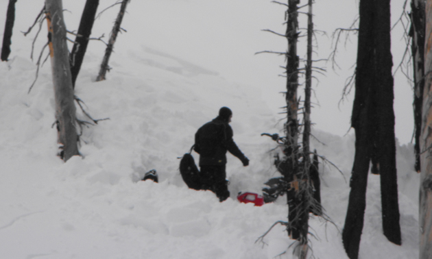 Often trees are considered as safe areas. While the snow below tree line is often more stable, if we trigger something in the trees, trauma and sled damage are more likely. Photo by Lori Zacaruk