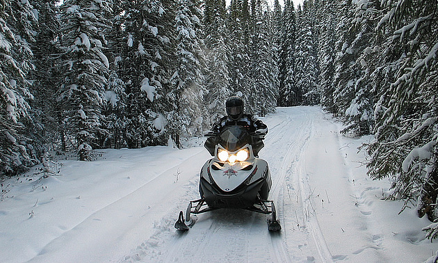 Take a sledding trip in this enticing region. Photo courtesy Trevor Schell